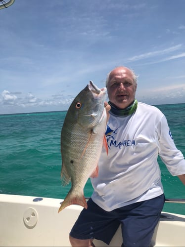 Offshore 3/4 Day In Key Largo
