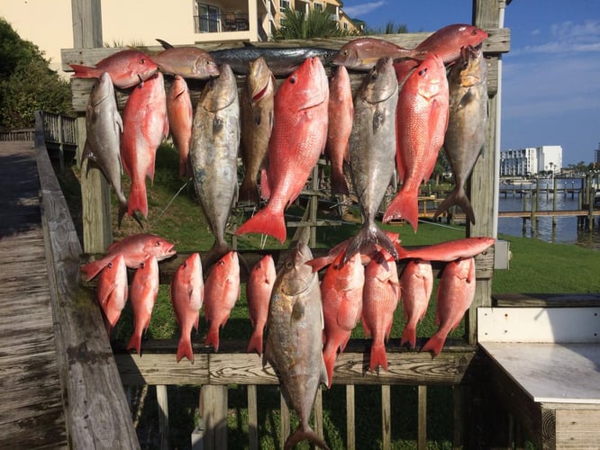 Spring Nearshore Splash In Destin