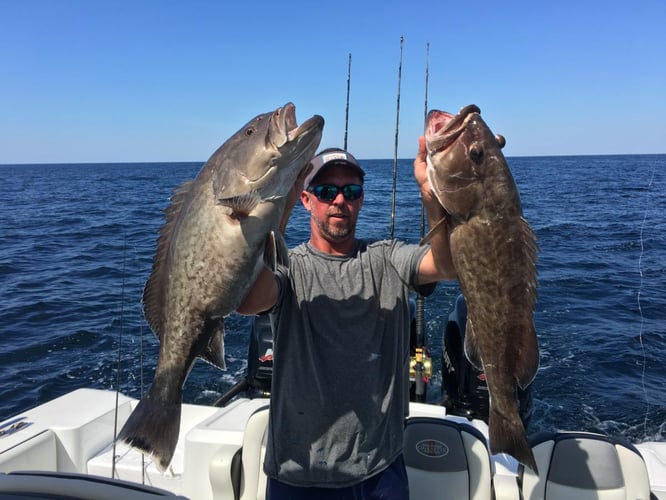 Destin Fishing Blitz In Destin