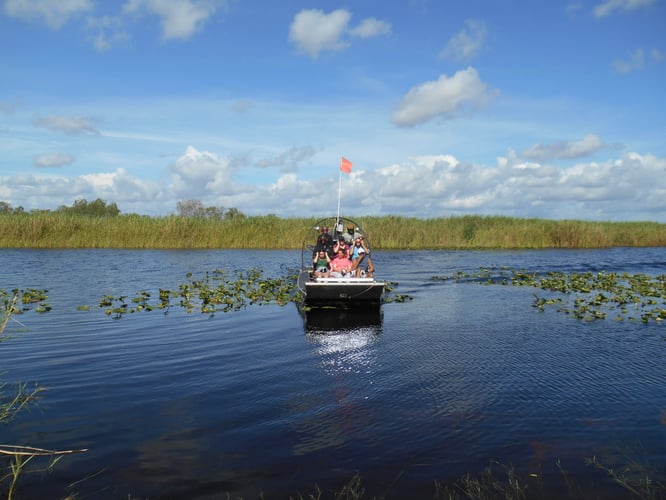 Airboat Eco Tours In Parkland