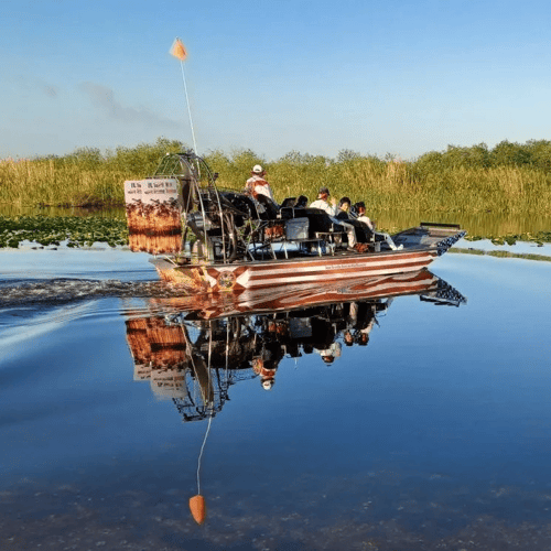Airboat Eco Tours In Parkland