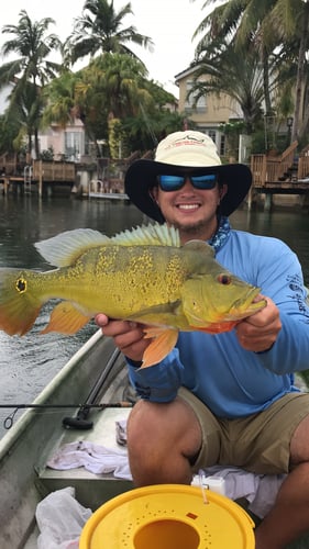 Peacock Bass Fishing In Kendall