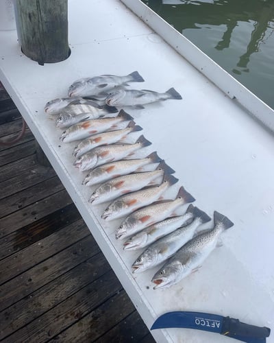 2 Hour Intro To Fishing In Gulf Shores
