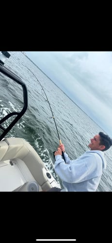 3 Hour Introduction To Saltwater Fishing In Panama City