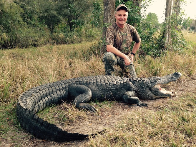 Florida Alligator Hunting In Zolfo Springs