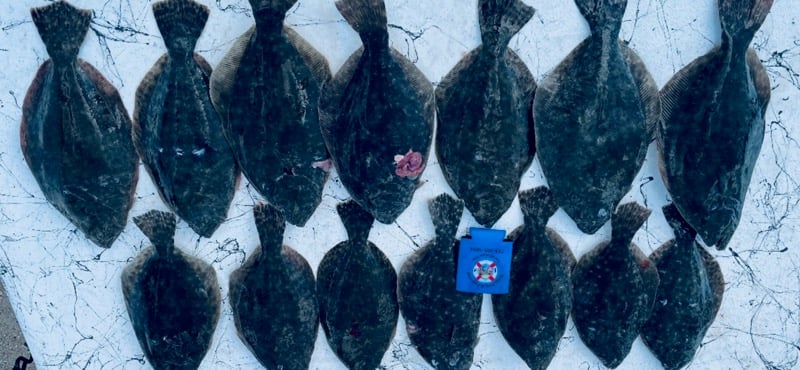 POC Flounder Gigging Trips In Port O'Connor