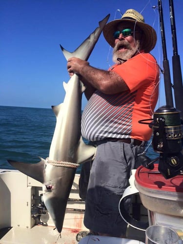 Texas City Shark Trip