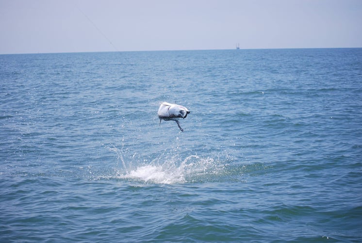 Texas Tarpon On Light Tackle In Texas City