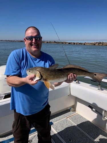 Jetty/Channel Trip - 39' Contender in Hitchcock