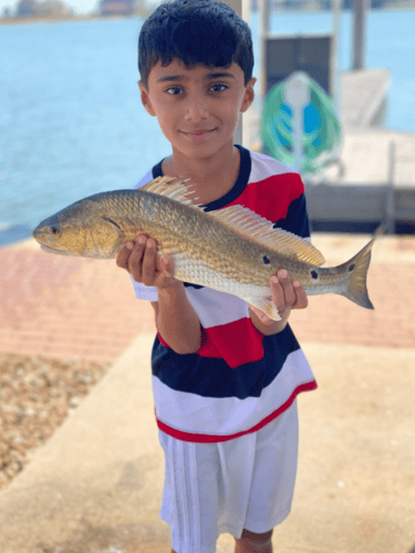 Jetty/Channel Trip - 39’ Contender In Hitchcock