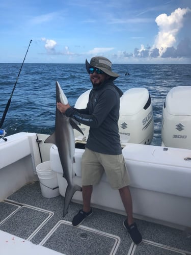 Jetty/Channel Trip - 39' Contender in Hitchcock