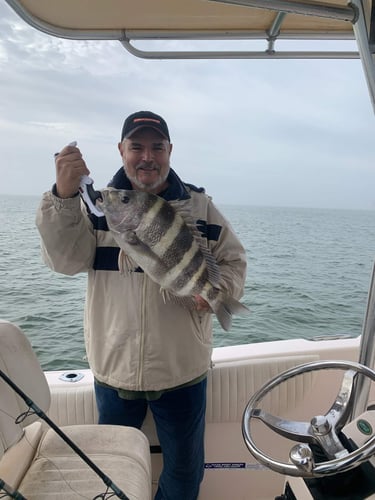 Jetty/Channel Trip - 39' Contender in Hitchcock