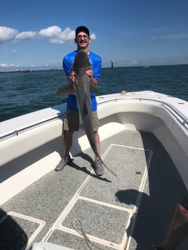 Jetty/Channel Trip - 39' Contender in Hitchcock