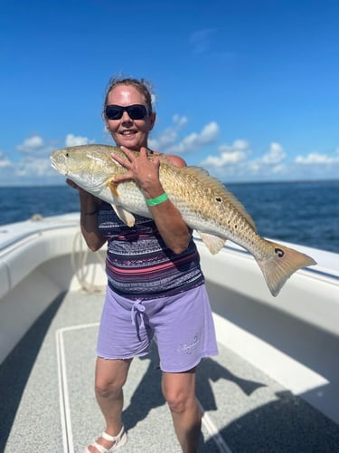 Jetty/Channel Trip - 39' Contender in Hitchcock