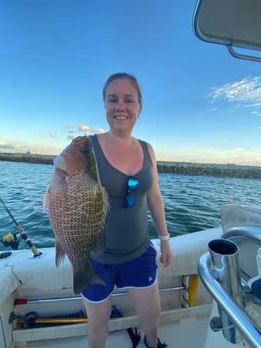 Jetty/Channel Trip - 39' Contender in Hitchcock