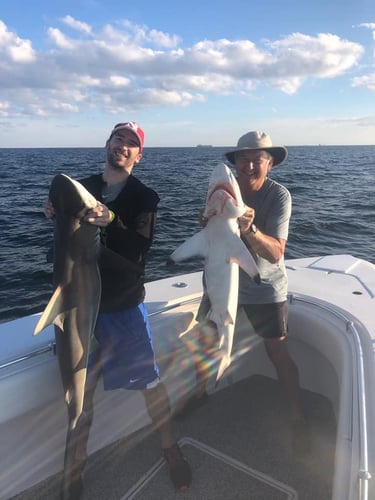 24' Full Day Trip – Shark in Hitchcock