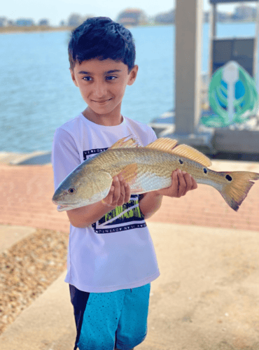 Jetty/Channel Trip - 39’ Contender In Hitchcock