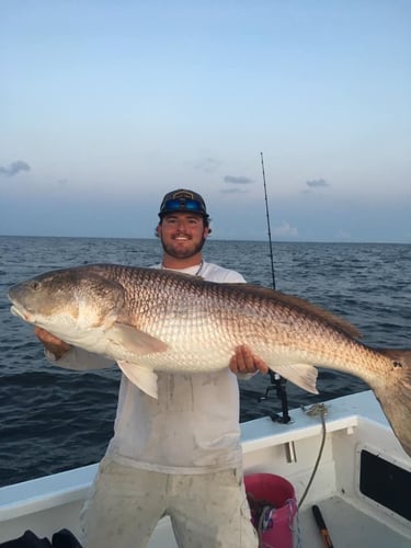 Trophy Red Drum Trip In Morehead City