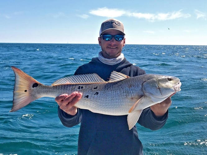 Inshore PCB Trip - 23' Sportsman In Panama City