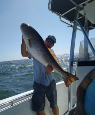 Full Day - State Water Offshore - 23’ Sea Hunt