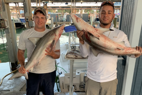 Shark & Bull Red Fishing Trip -  23’ Sea Hunt