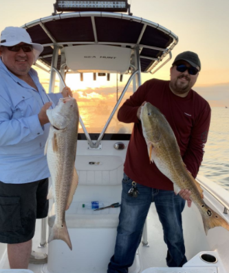 Full Day - State Water Offshore - 23’ Sea Hunt