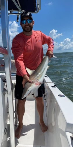 Big Day Offshore in Galveston