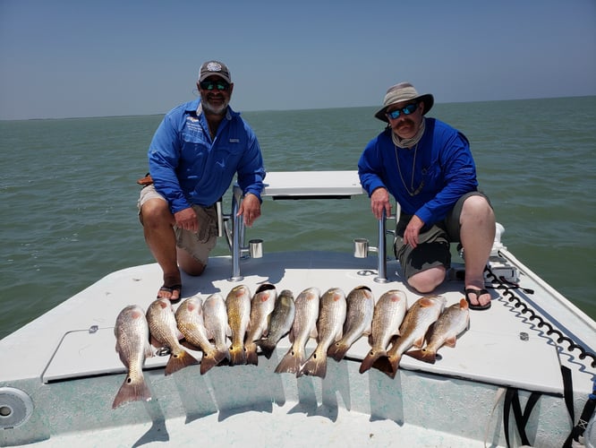 Full Day Or Half Day Fishing Trip In Port Isabel