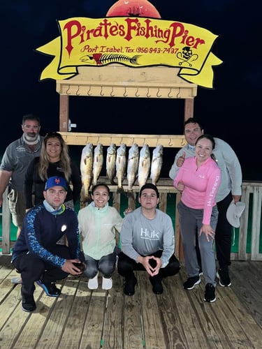 Full Day Or Half Day Fishing Trip In Port Isabel