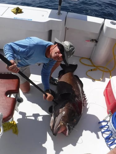 Overnight Offshore - 38' Luhrs in Freeport