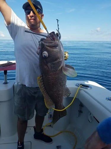 Overnight Offshore - 38' Luhrs in Freeport