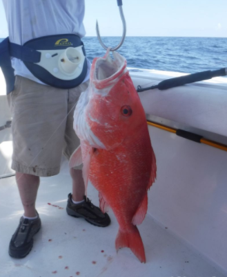 Overnight Offshore - 38' Luhrs In Freeport