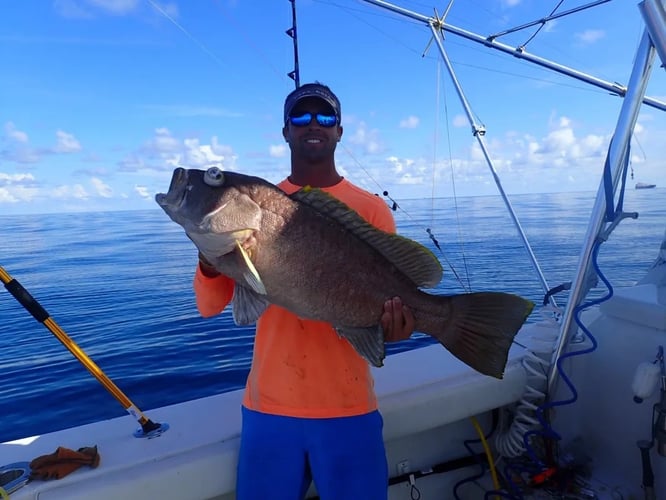 Overnight Offshore - 38' Luhrs in Freeport