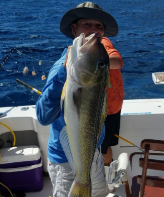 Overnight Offshore - 38' Luhrs in Freeport