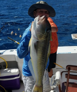 Overnight Offshore - 38' Luhrs In Freeport