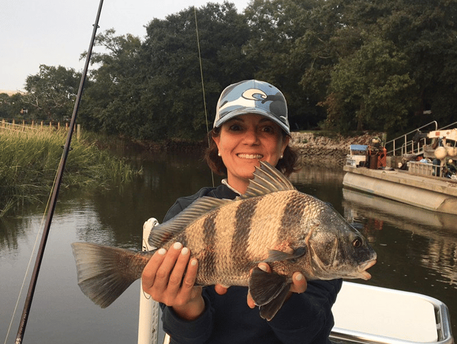 Charleston Inshore Action in Charleston