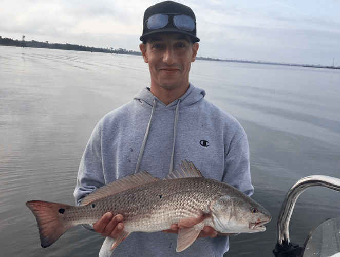 Charleston Inshore Action in Charleston