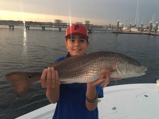 Charleston Inshore Action in Charleston