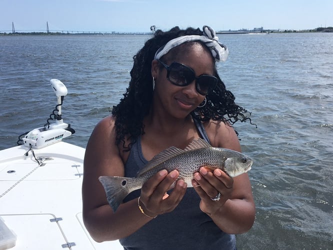 Charleston Inshore Action in Charleston