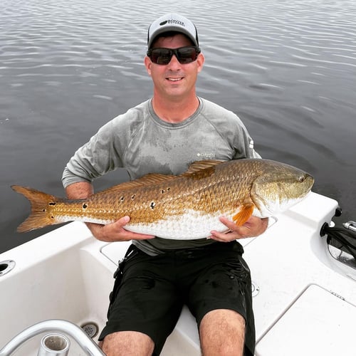 Trophy Red Drum Trip in New Bern