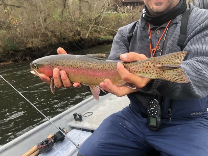 Trout Adventure On The Clinch In Andersonville