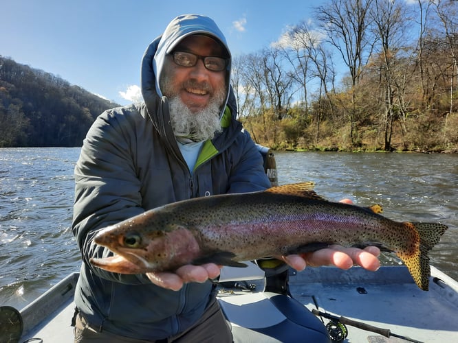 Trout Adventure on the Clinch in Andersonville