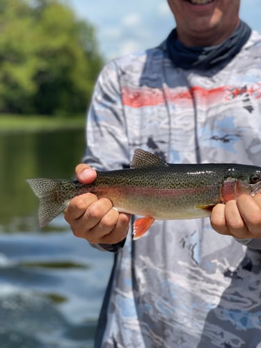 Holston River Fly Fishing