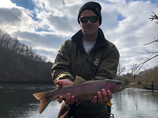 Trout Adventure on the Clinch in Andersonville