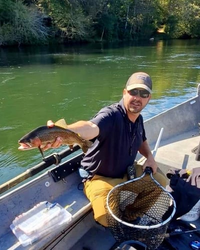 Trout Adventure on the Clinch in Andersonville