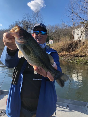 Trout Adventure on the Clinch in Andersonville