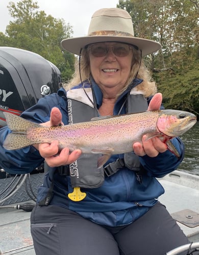 Trout Adventure on the Clinch in Andersonville