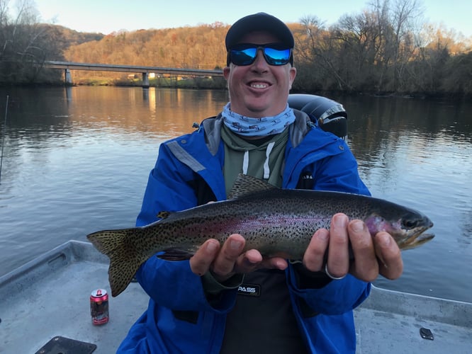 Trout Adventure on the Clinch in Andersonville
