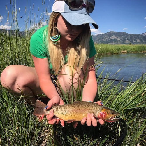 Full Day Wade Fishing In Fort Washakie