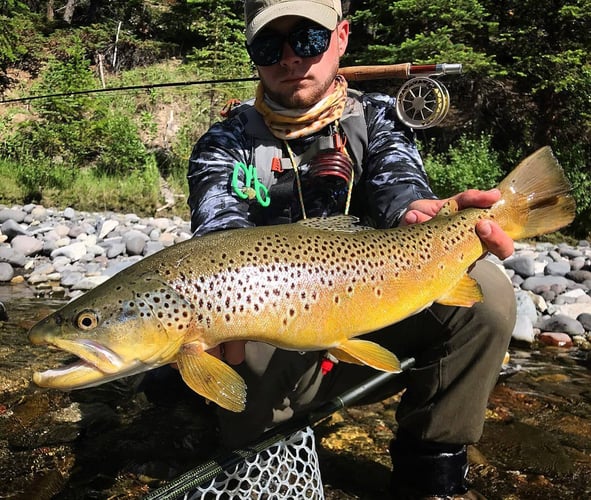 Full Day Wade Fishing In Fort Washakie